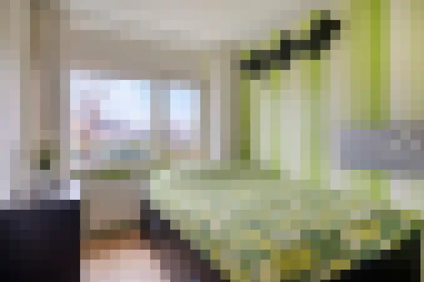 Zelhemseweg 21 Varsseveld thumbnail 23