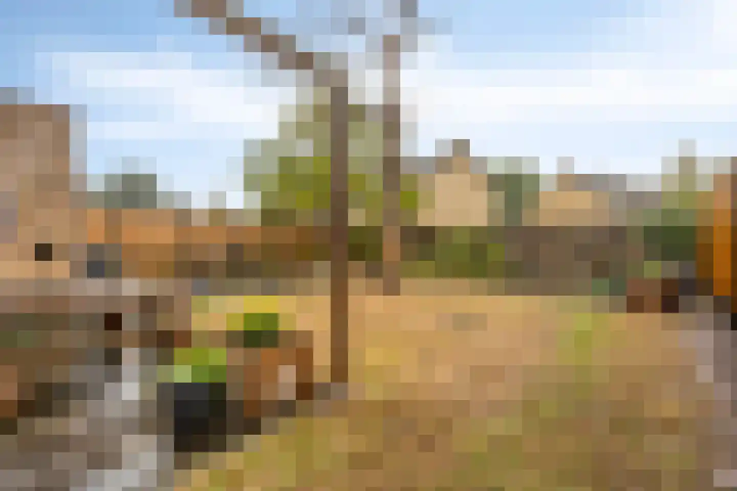Zelhemseweg 21 Varsseveld thumbnail 40