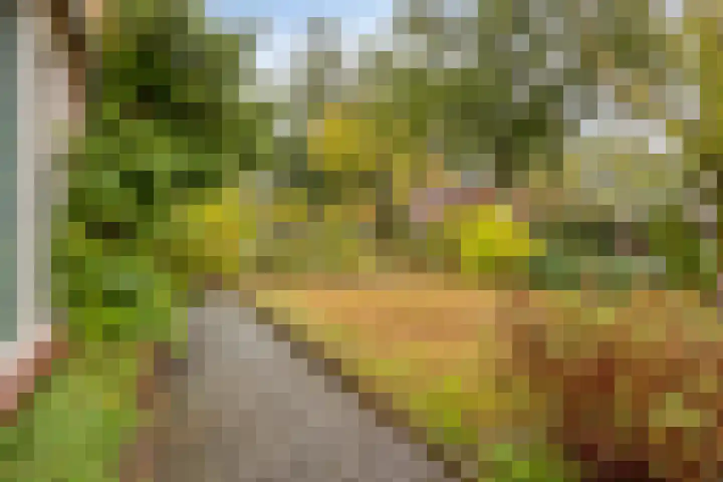 Zelhemseweg 21 Varsseveld thumbnail 46