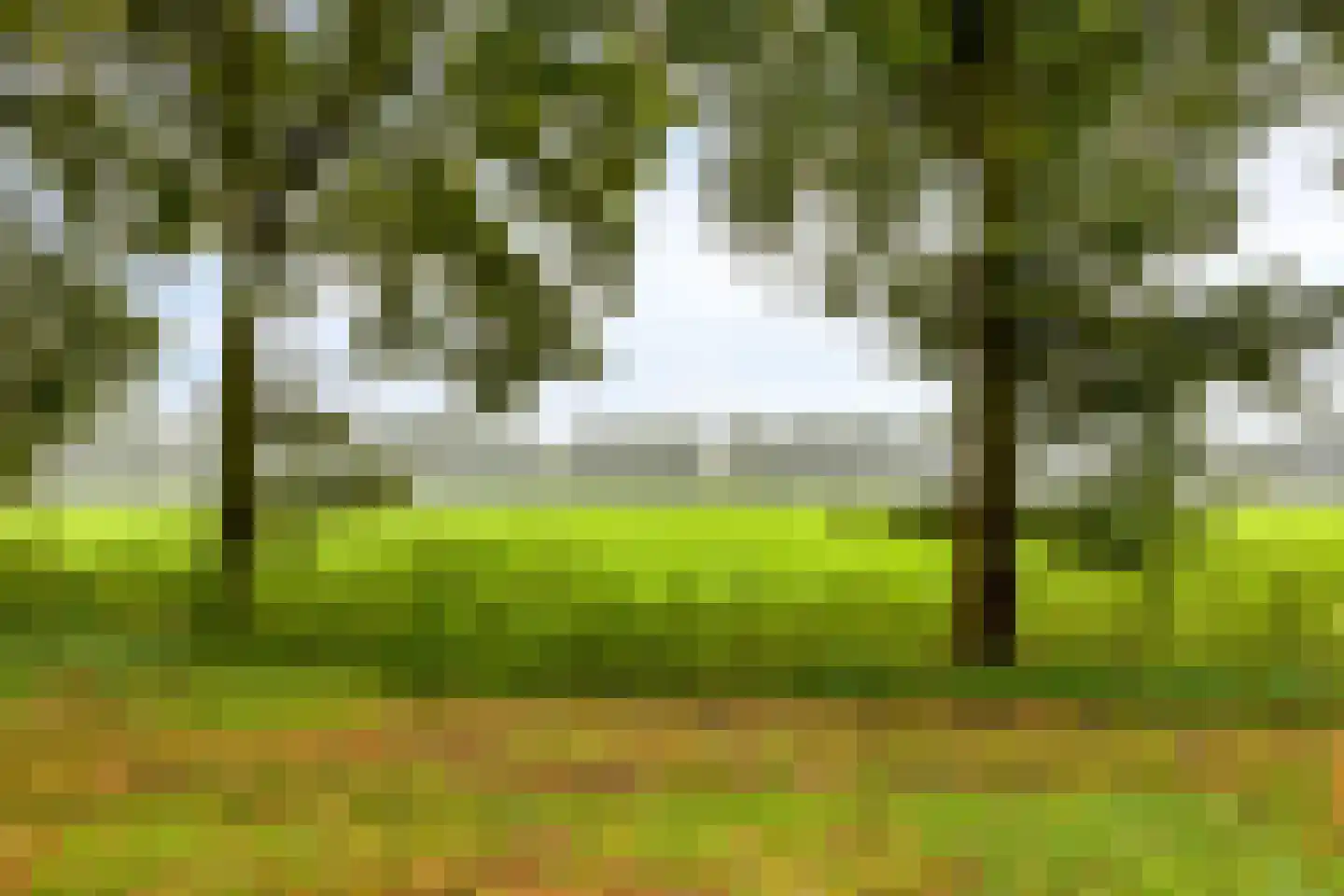 Zelhemseweg 21 Varsseveld thumbnail 47