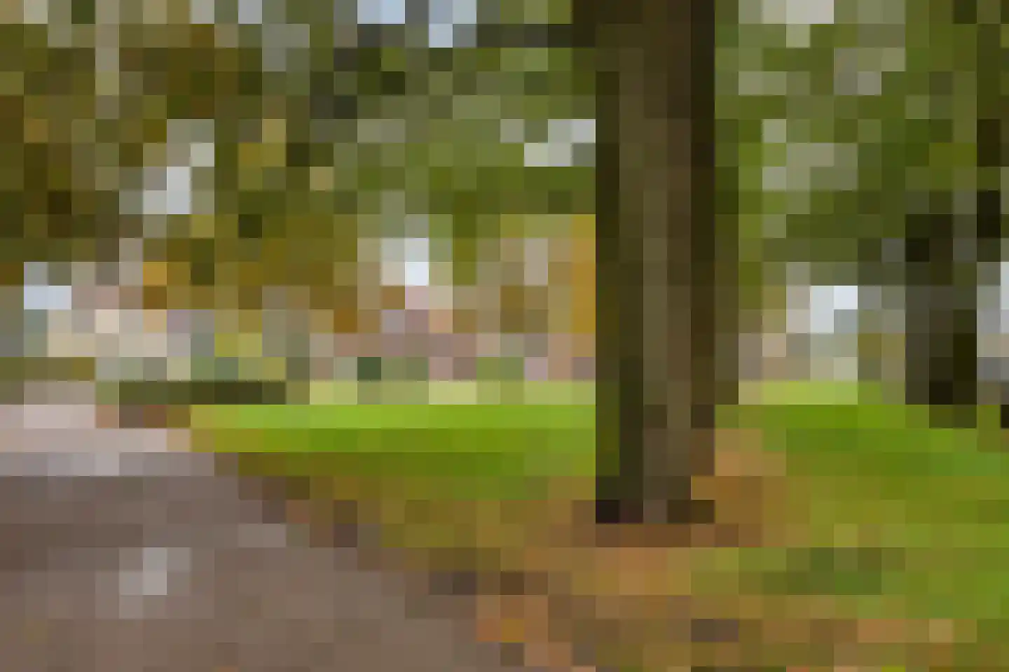 Zelhemseweg 21 Varsseveld thumbnail 48