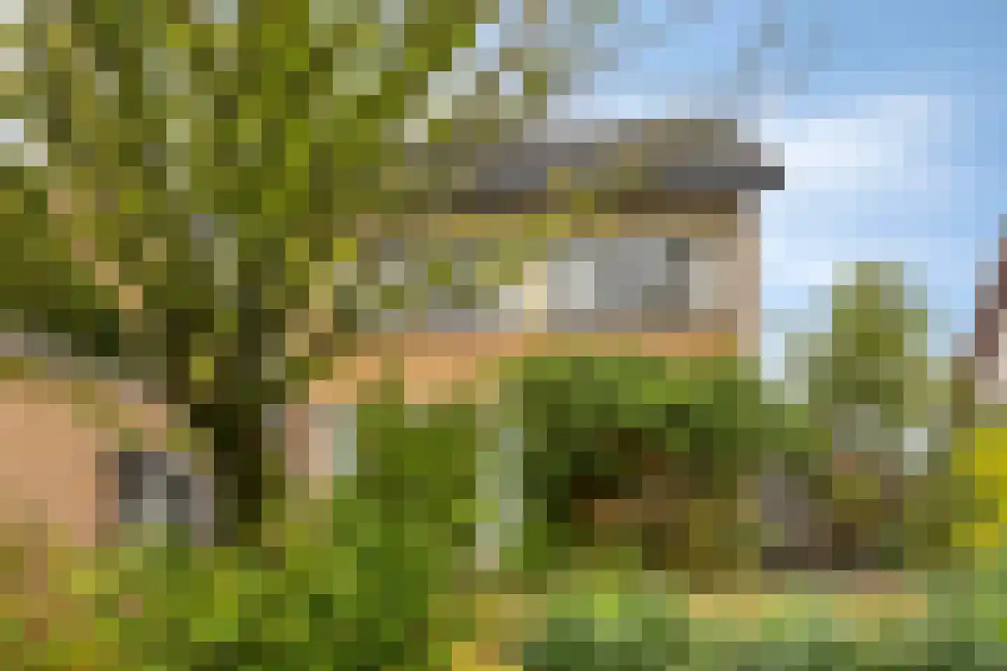 Zelhemseweg 21 Varsseveld thumbnail 7
