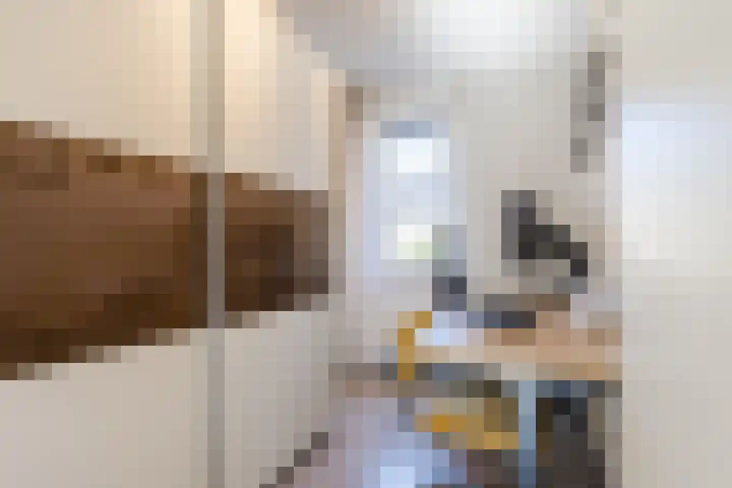 Zelhemstraat 1 Tilburg thumbnail 18