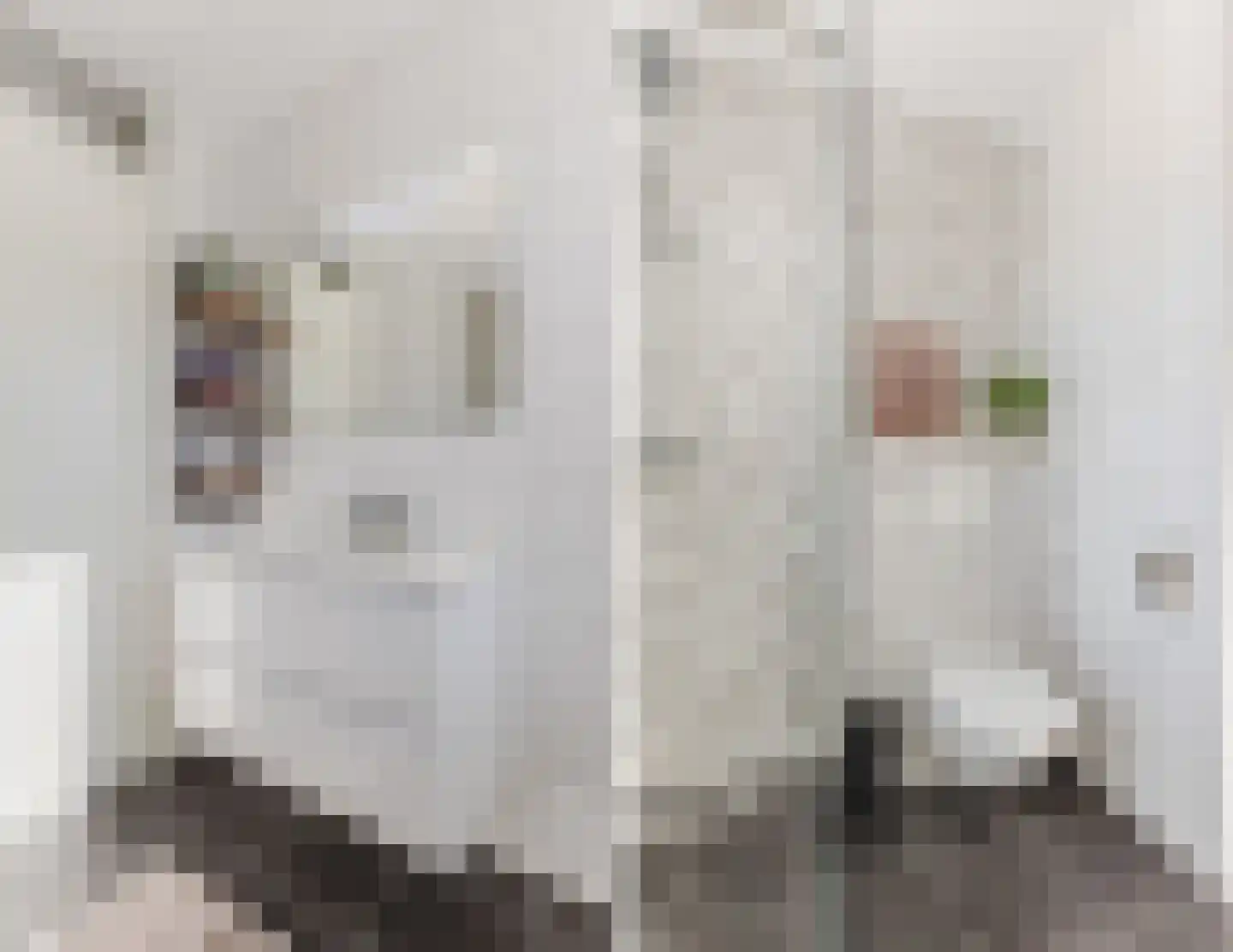 Zelhemstraat 1 Tilburg thumbnail 20