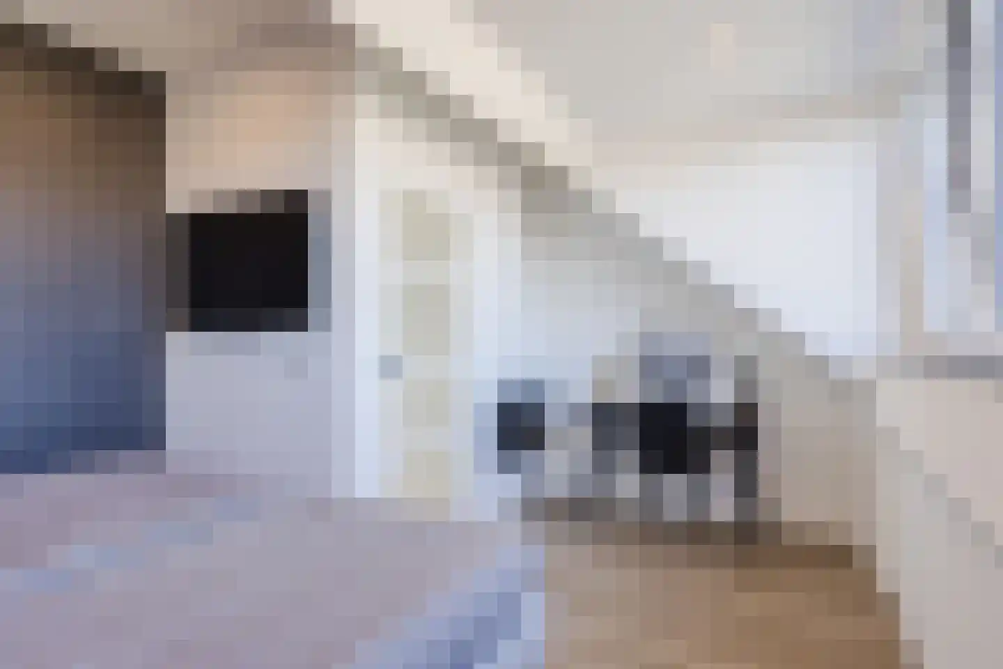Zelhemstraat 1 Tilburg thumbnail 24