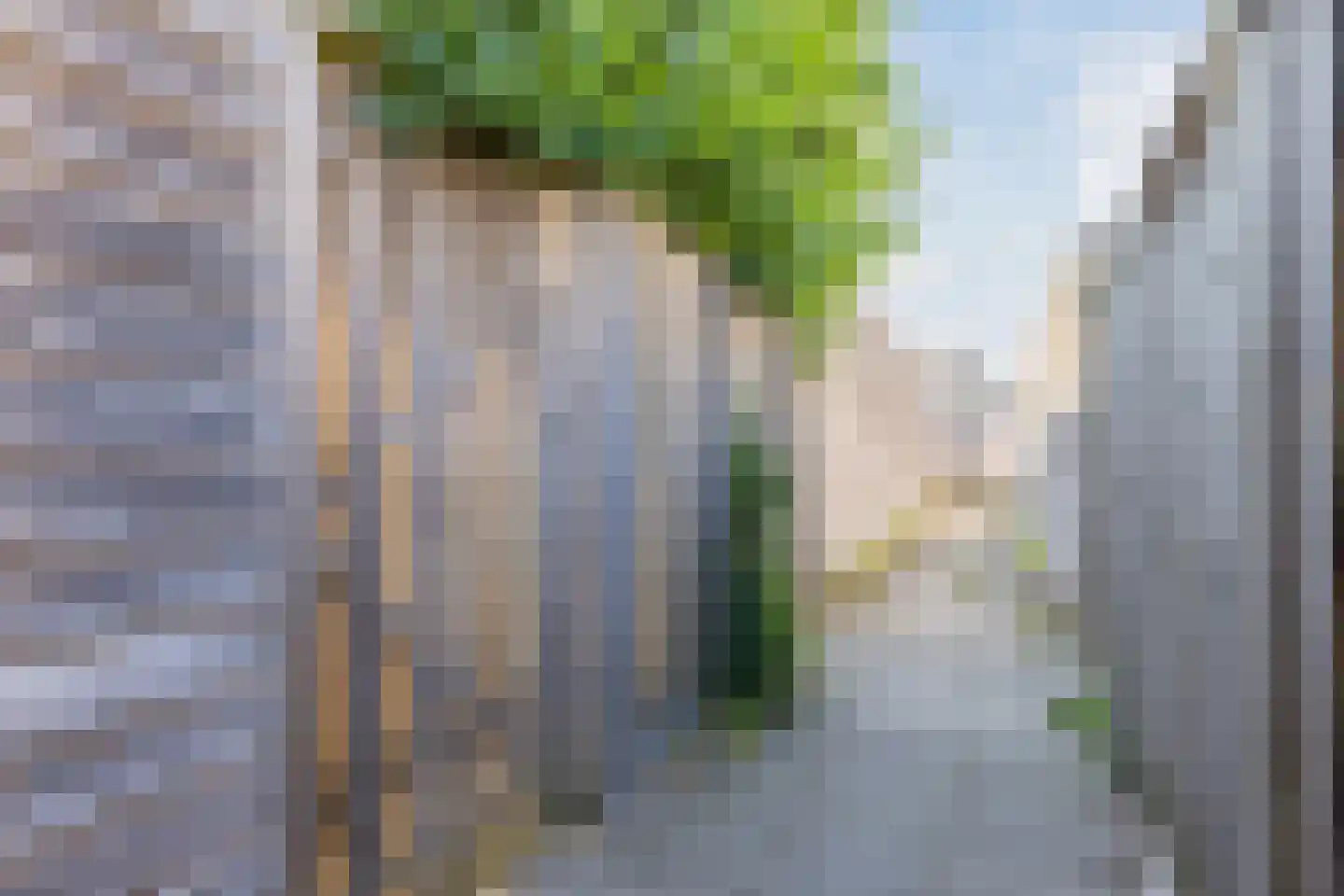 Zelhemstraat 1 Tilburg thumbnail 30