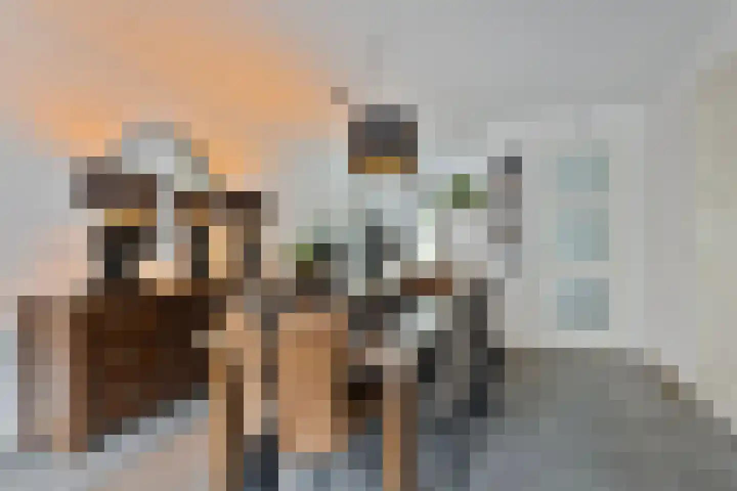 Zelhemstraat 13 Tilburg thumbnail 14