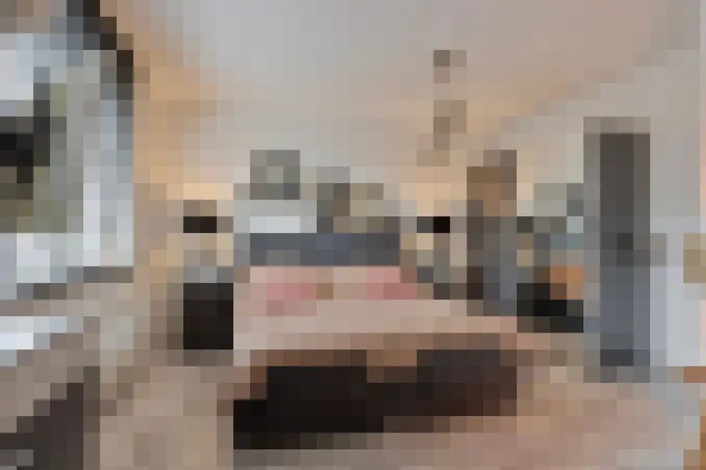 Zelhemstraat 13 Tilburg thumbnail 19
