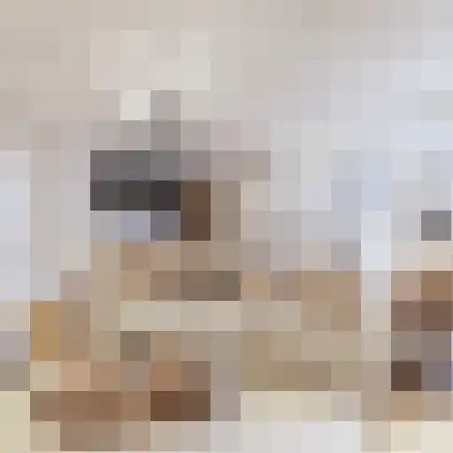 Zelksestraat 14 Horssen thumbnail 6