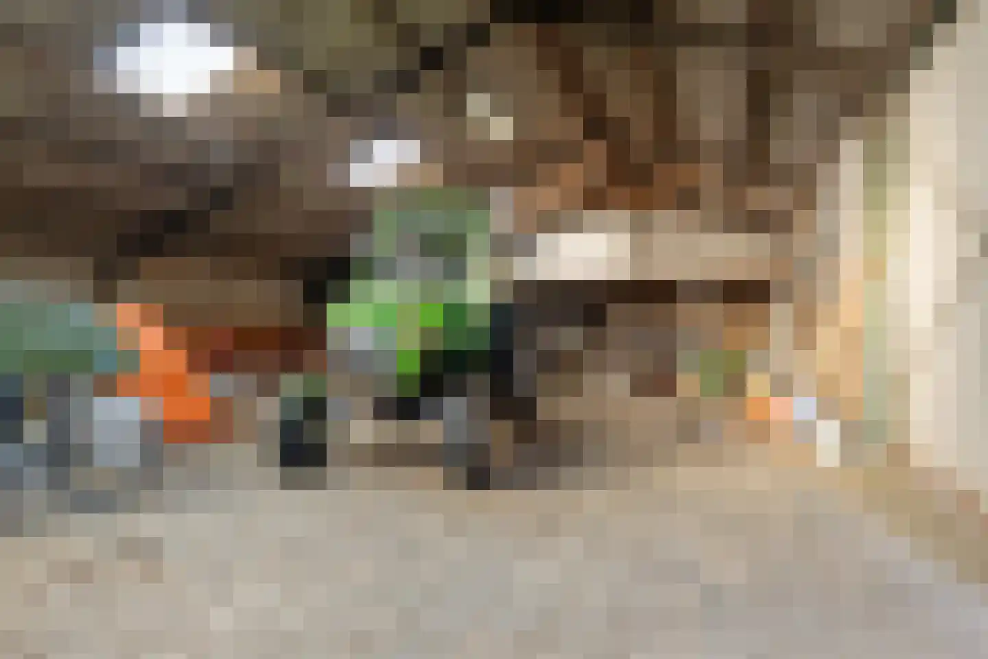 Zelksestraat 16 Horssen thumbnail 11