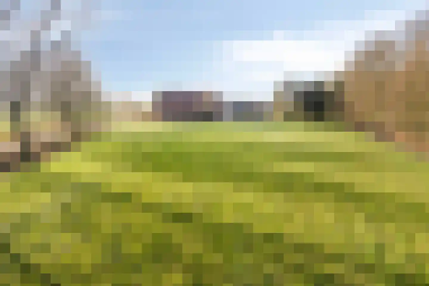 Zelksestraat 16 Horssen thumbnail 5