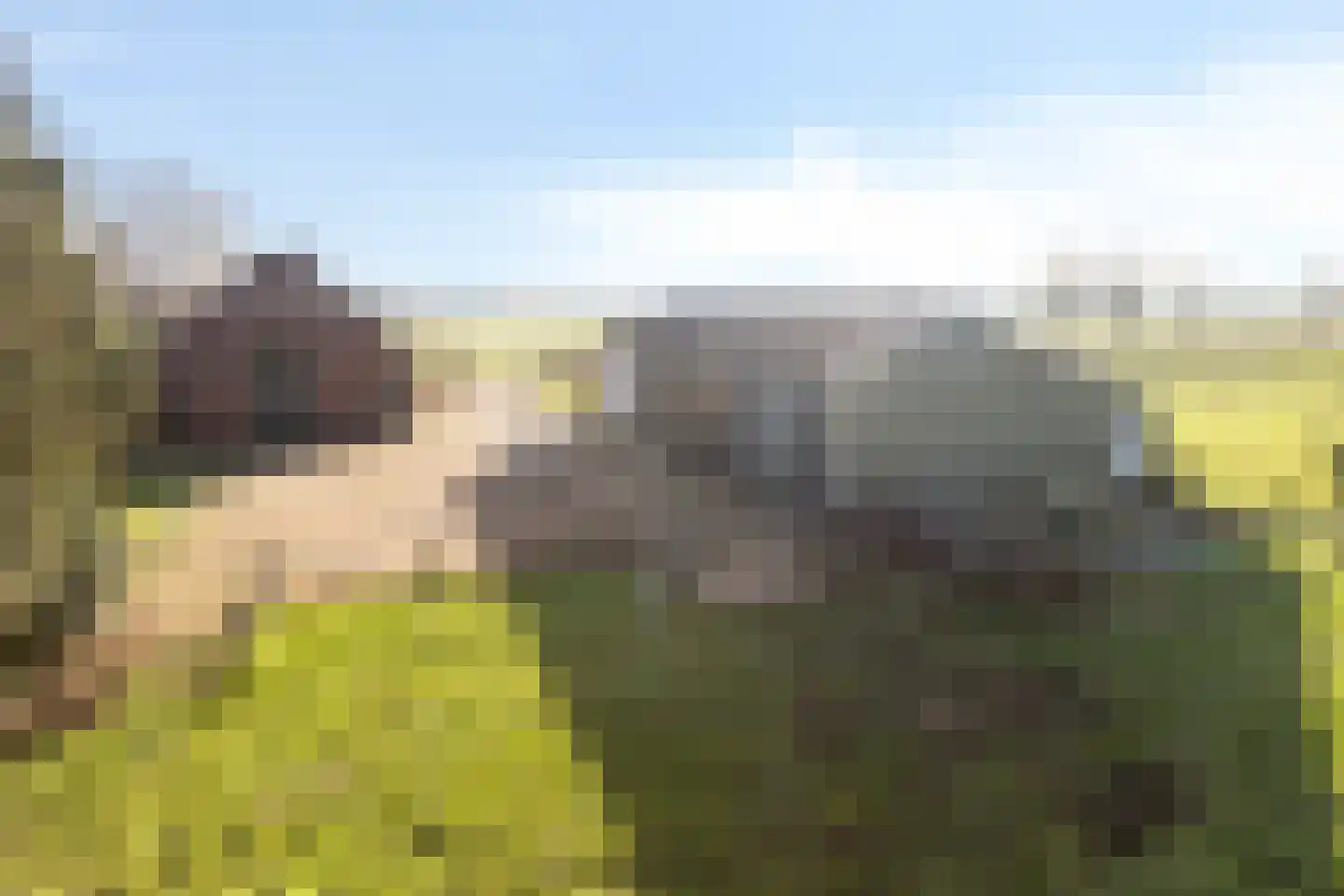 Zelksestraat 16 Horssen thumbnail 7