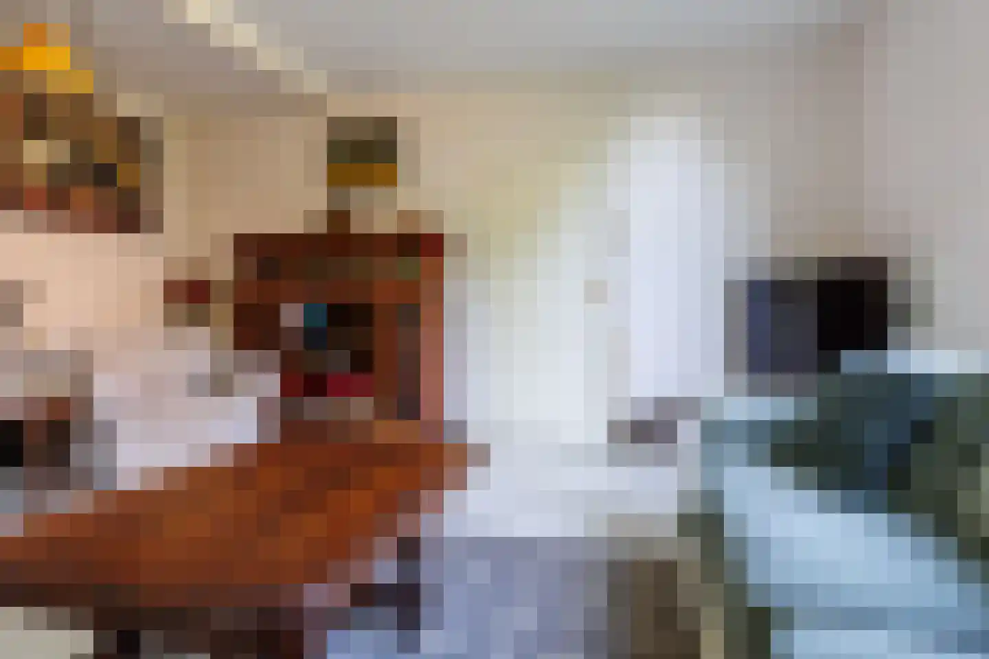 Zelksestraat 2 Horssen thumbnail 10