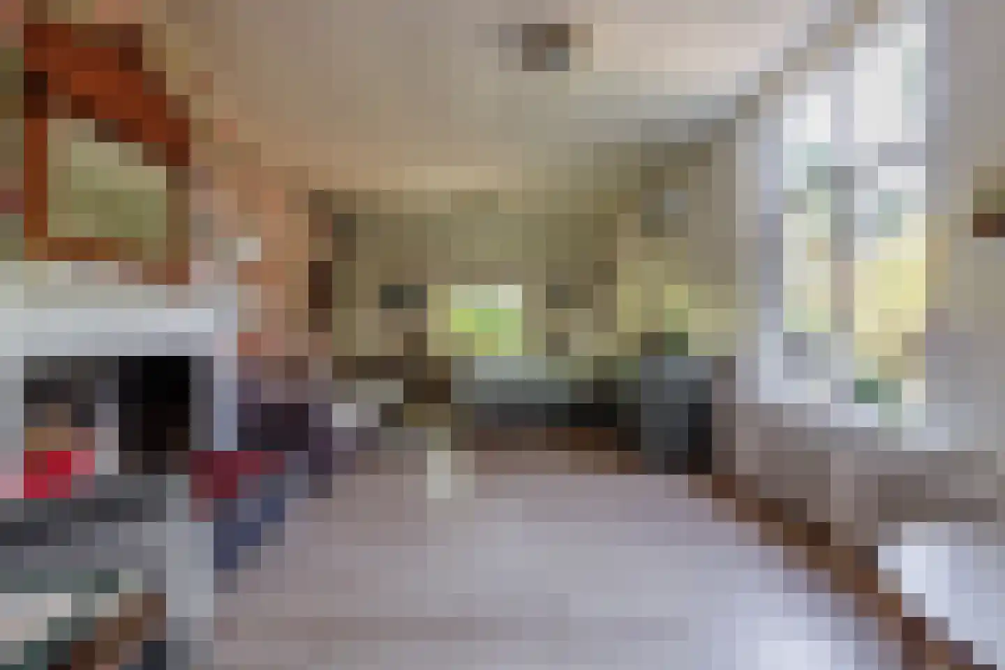 Zelksestraat 2 Horssen thumbnail 11