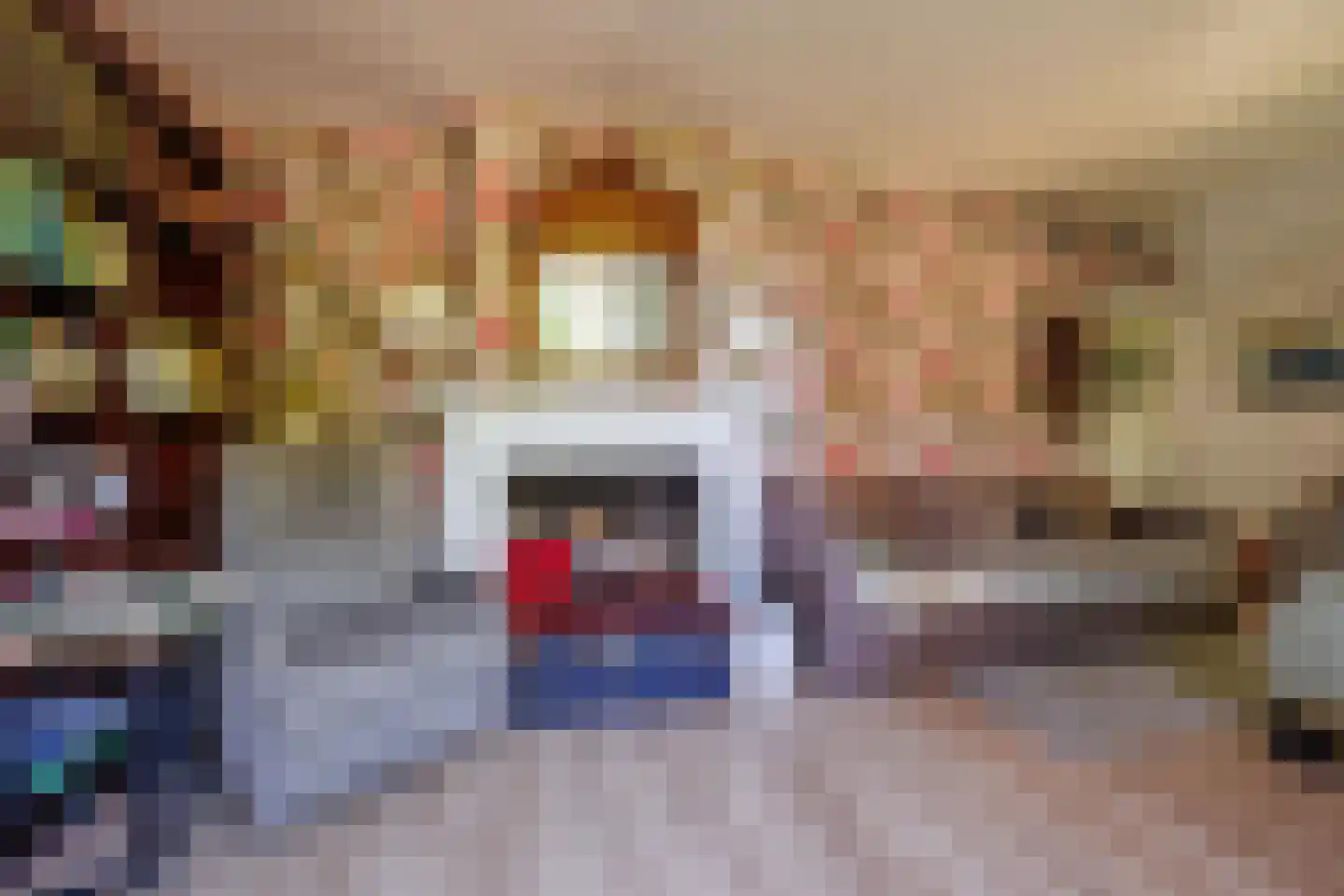 Zelksestraat 2 Horssen thumbnail 12