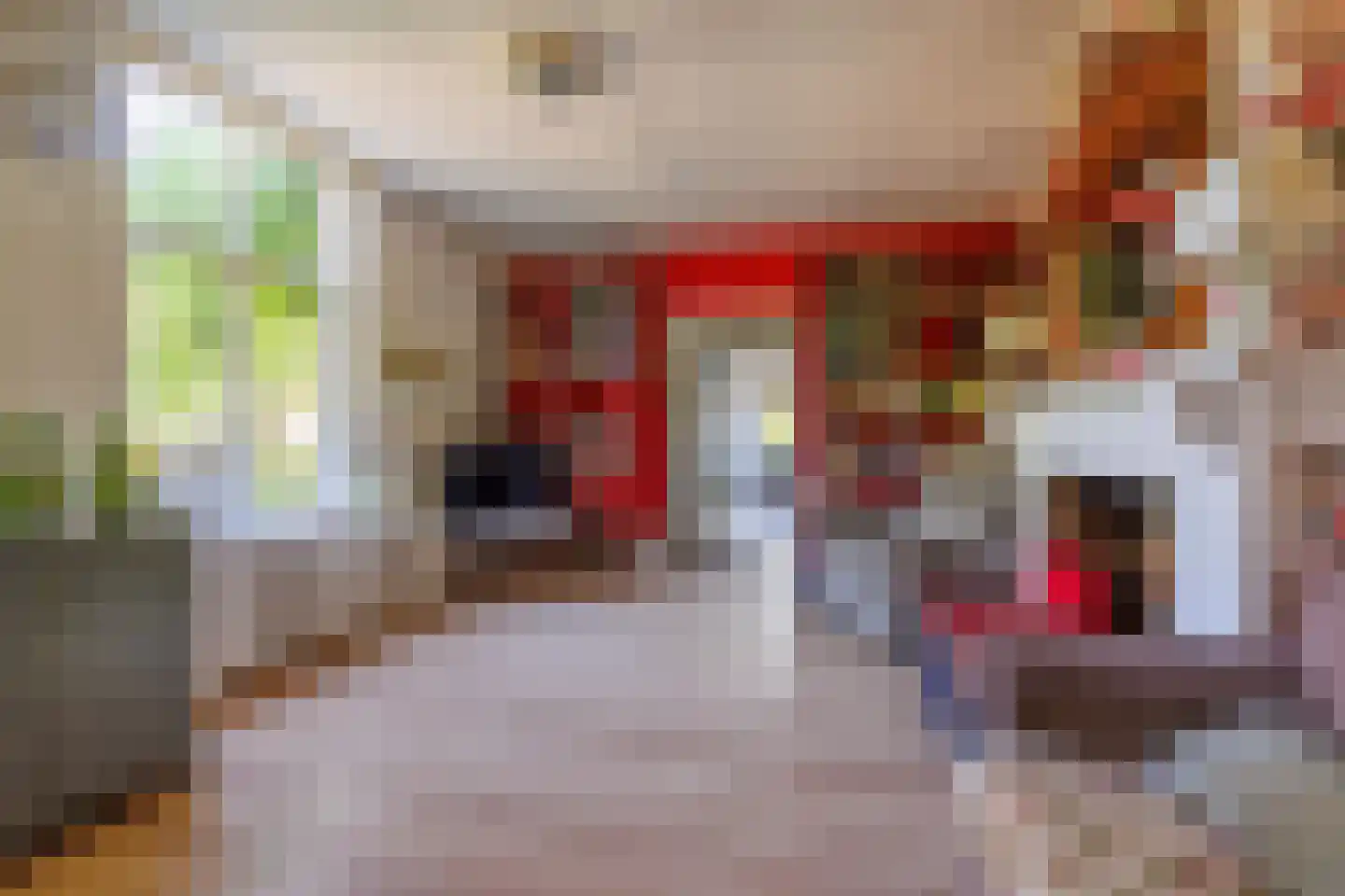 Zelksestraat 2 Horssen thumbnail 13