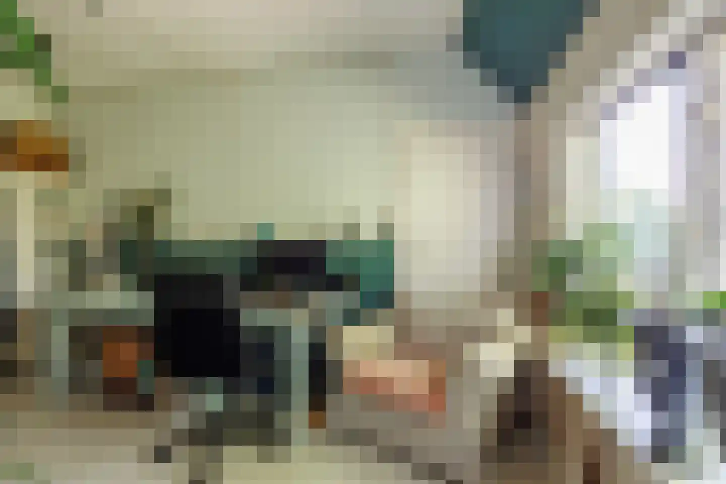 Zelksestraat 2 Horssen thumbnail 14