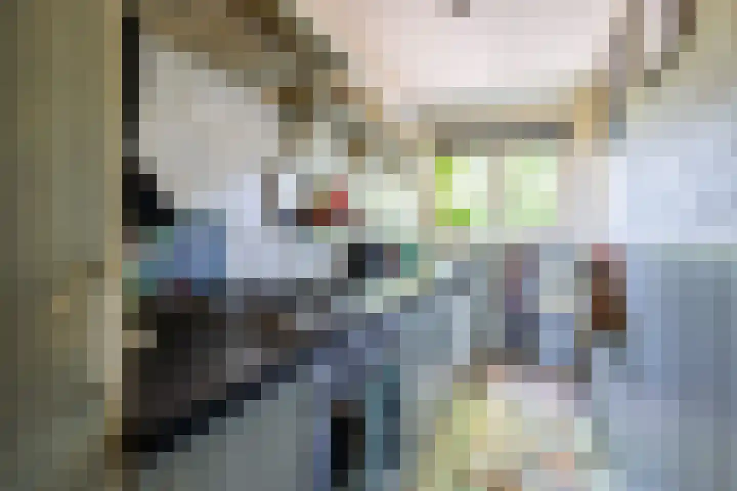 Zelksestraat 2 Horssen thumbnail 17