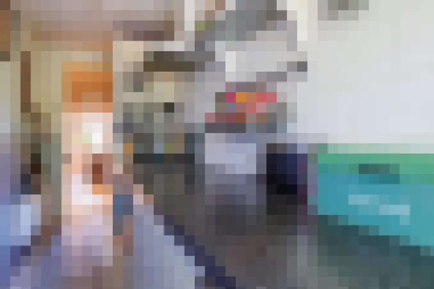 Zelksestraat 2 Horssen thumbnail 18