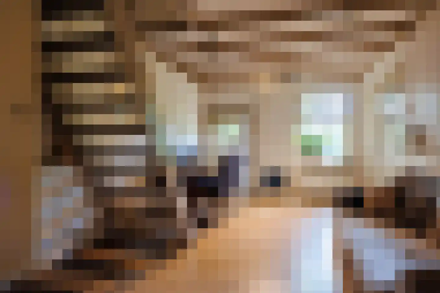 Zelksestraat 2 Horssen thumbnail 20