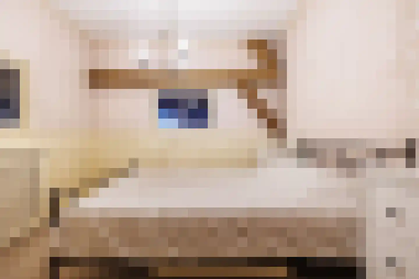 Zelksestraat 2 Horssen thumbnail 23