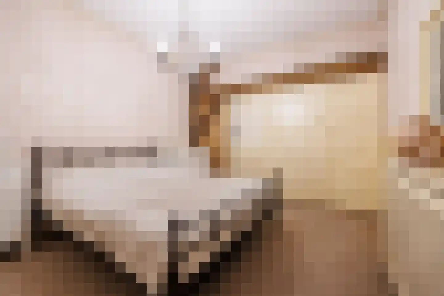 Zelksestraat 2 Horssen thumbnail 24