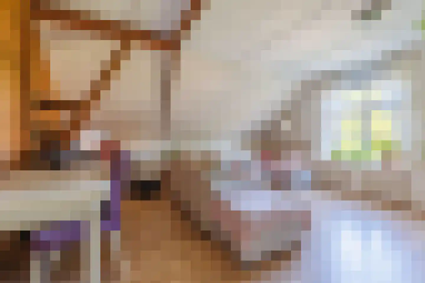 Zelksestraat 2 Horssen thumbnail 25