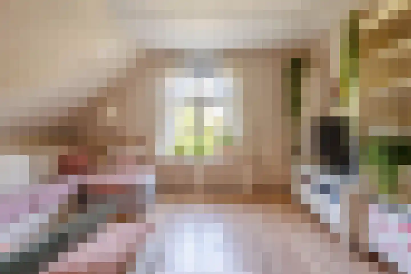 Zelksestraat 2 Horssen thumbnail 26