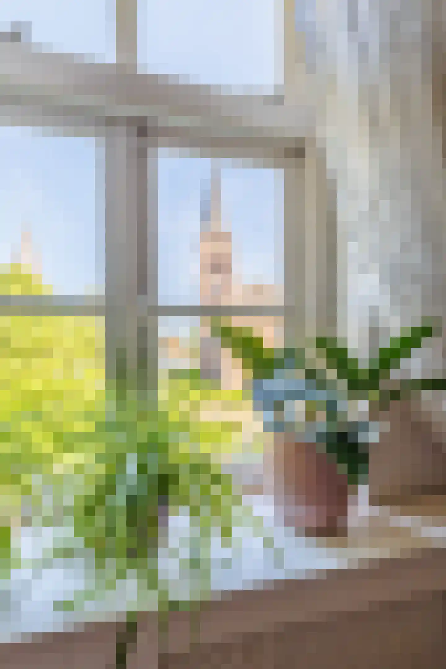 Zelksestraat 2 Horssen thumbnail 27