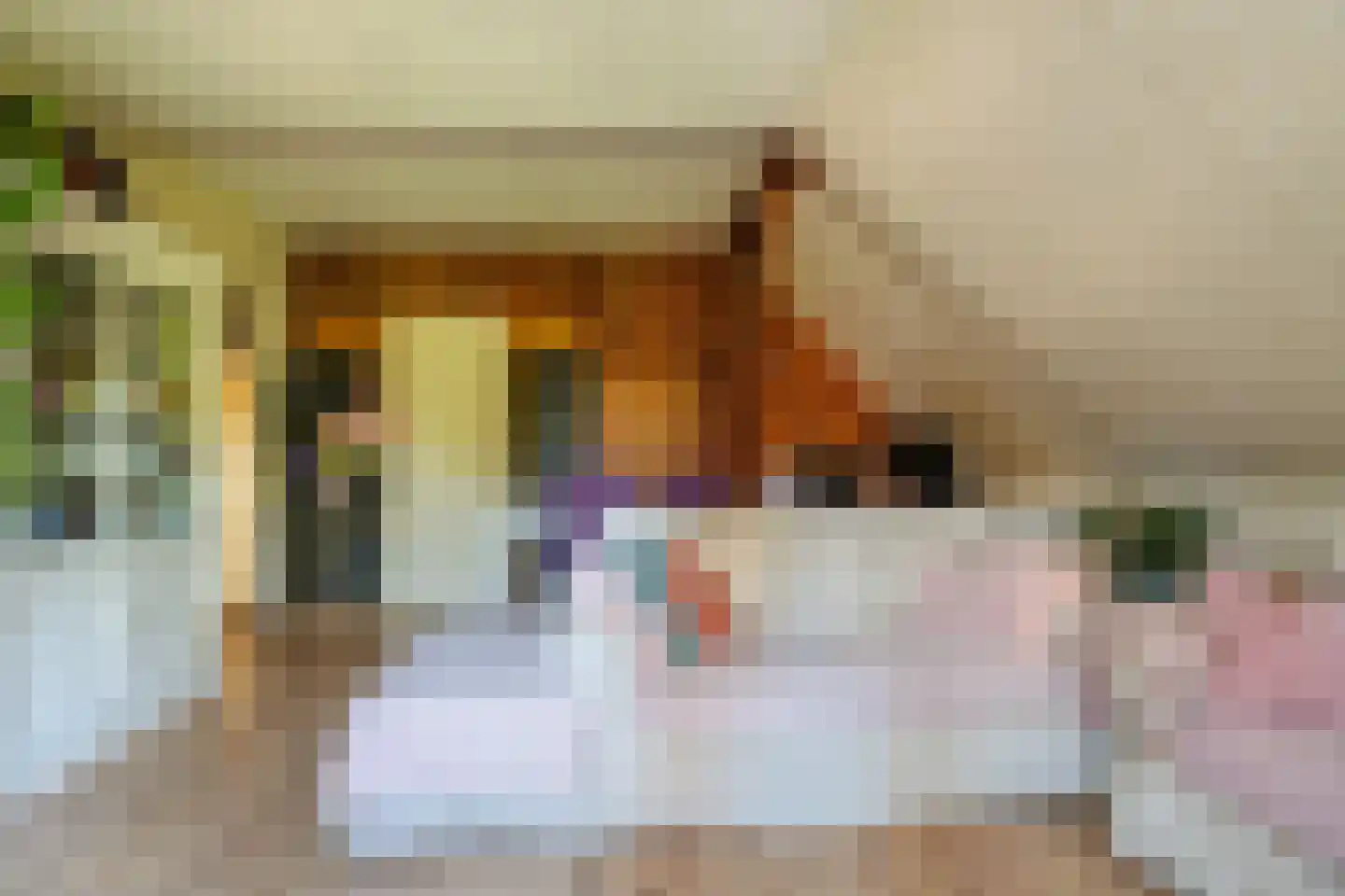 Zelksestraat 2 Horssen thumbnail 28