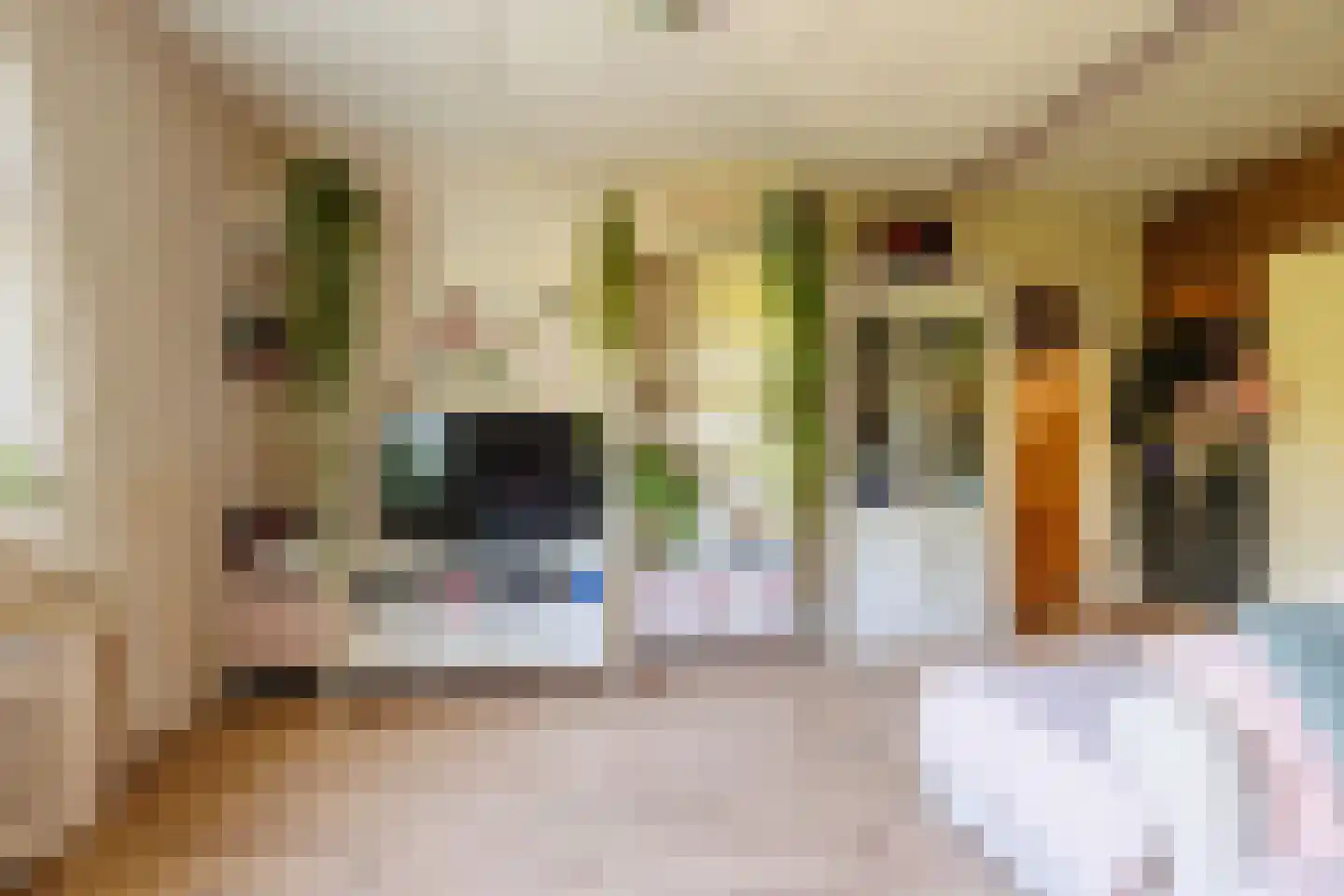 Zelksestraat 2 Horssen thumbnail 29