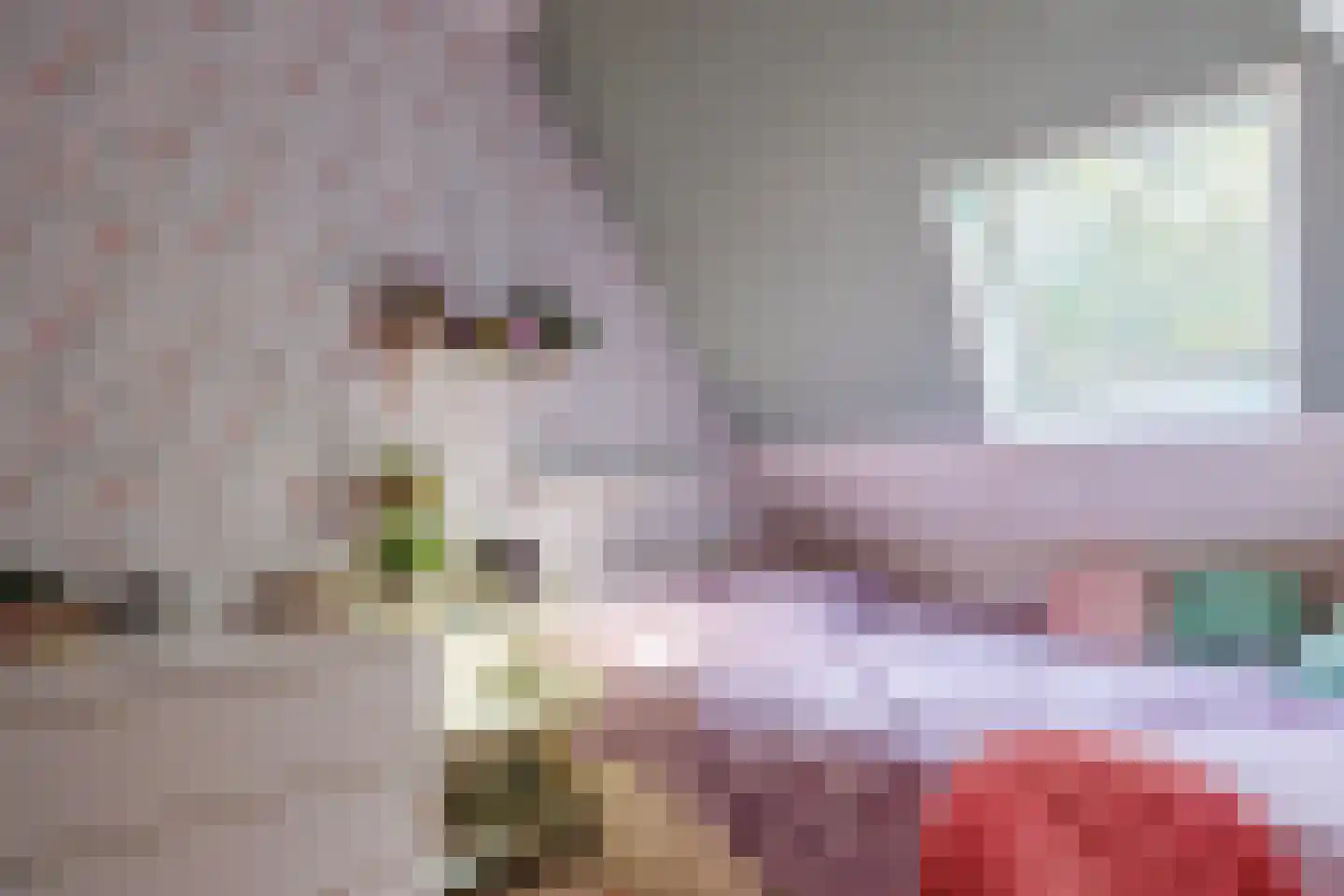 Zelksestraat 2 Horssen thumbnail 32
