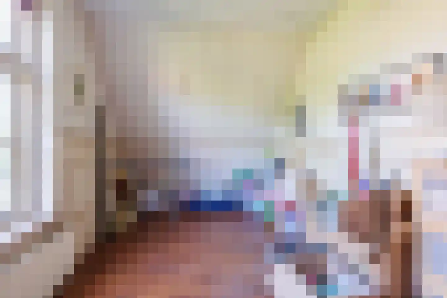 Zelksestraat 2 Horssen thumbnail 33