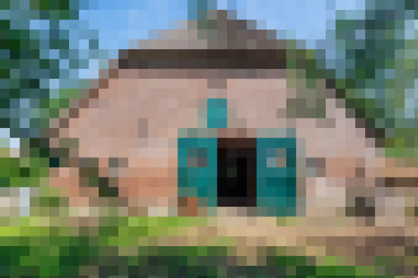 Zelksestraat 2 Horssen thumbnail 36