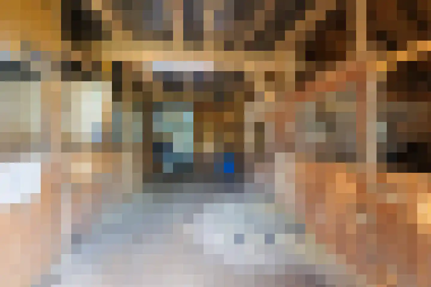 Zelksestraat 2 Horssen thumbnail 37