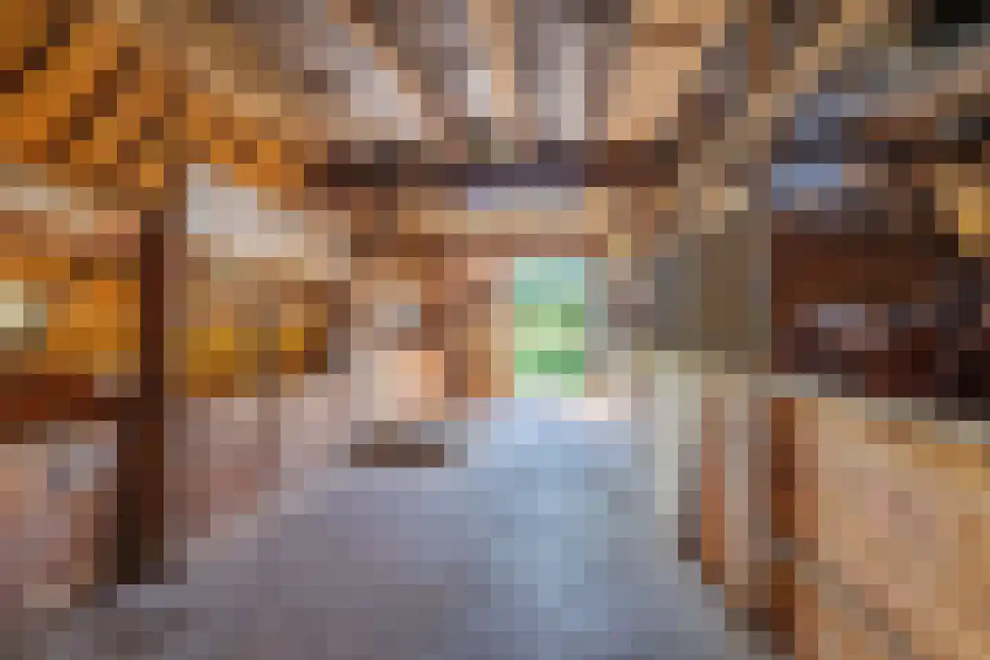 Zelksestraat 2 Horssen thumbnail 38