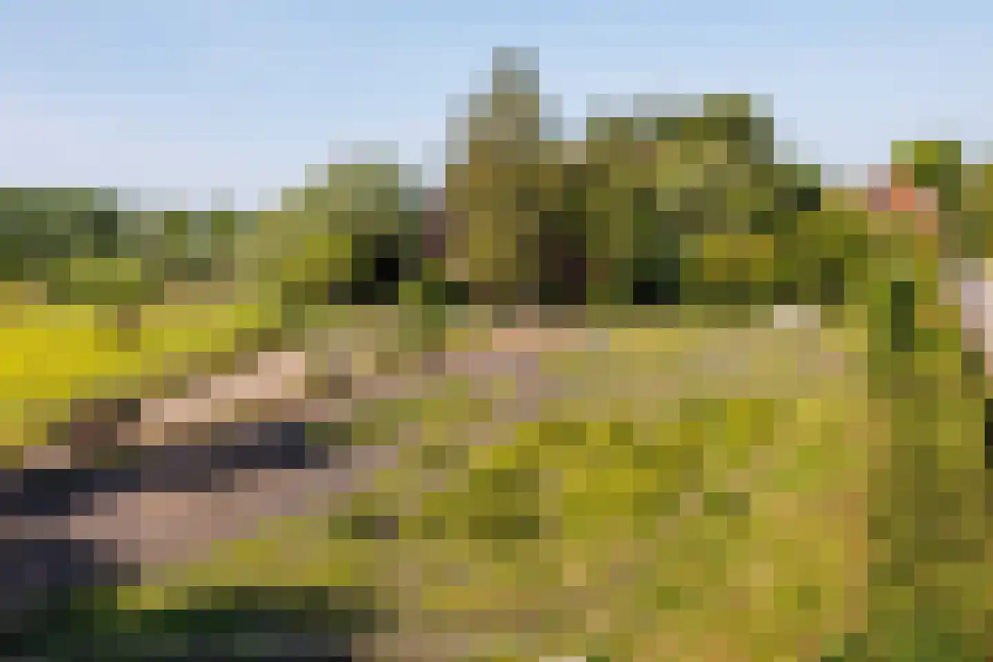 Zelksestraat 2 Horssen thumbnail 4