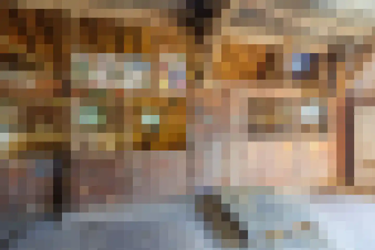 Zelksestraat 2 Horssen thumbnail 41