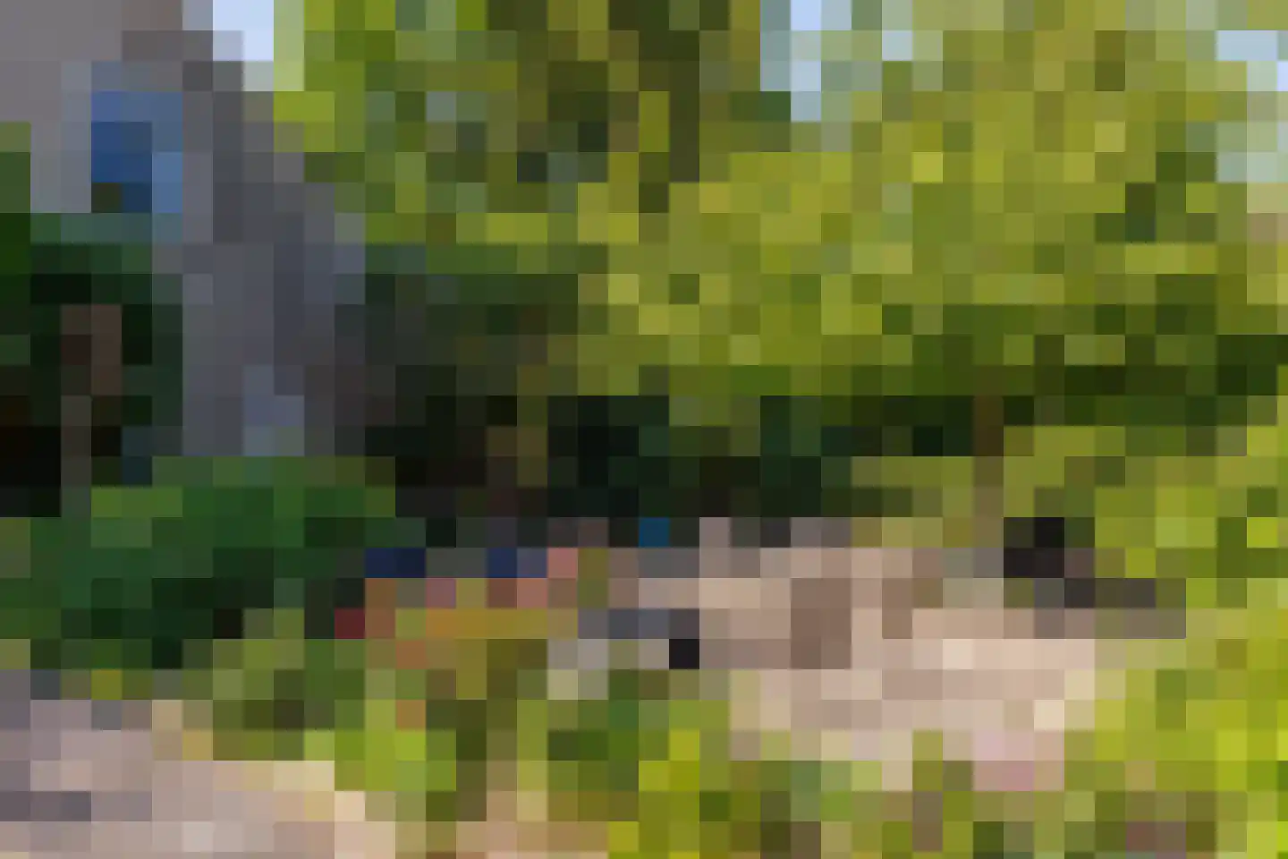 Zelksestraat 2 Horssen thumbnail 42