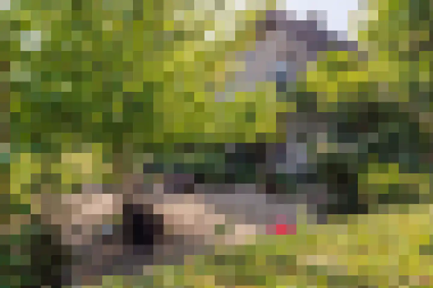 Zelksestraat 2 Horssen thumbnail 43