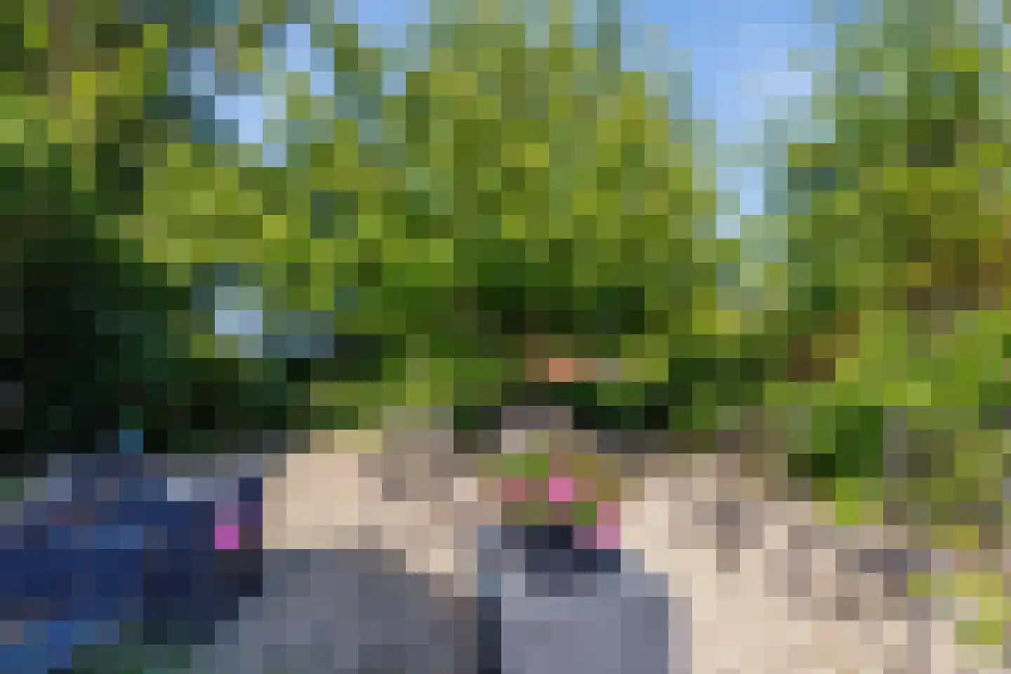 Zelksestraat 2 Horssen thumbnail 44