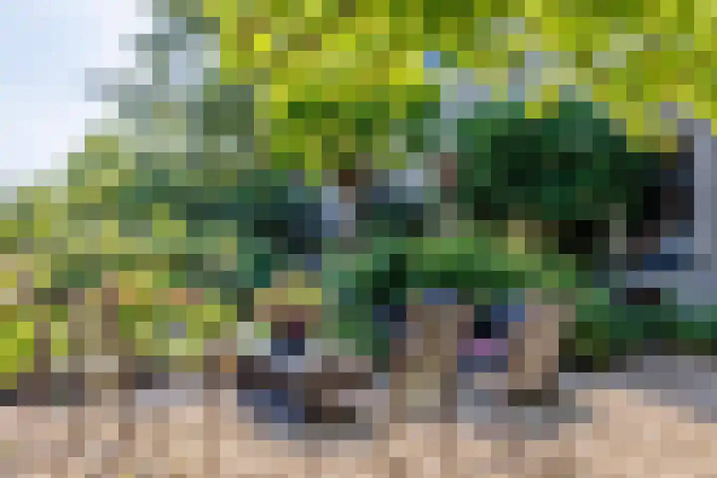 Zelksestraat 2 Horssen thumbnail 47