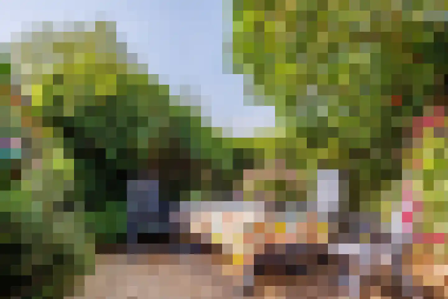 Zelksestraat 2 Horssen thumbnail 48