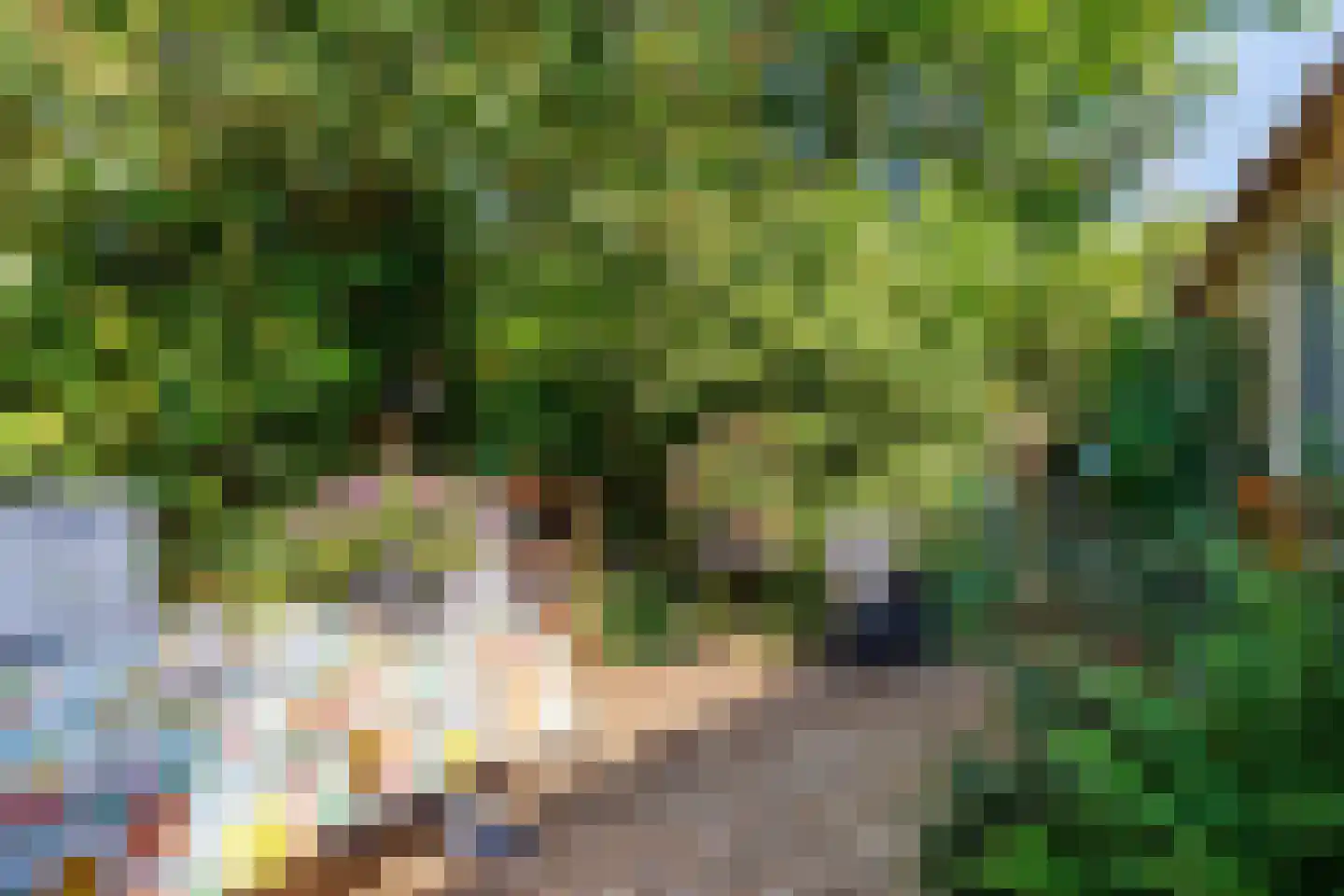 Zelksestraat 2 Horssen thumbnail 49