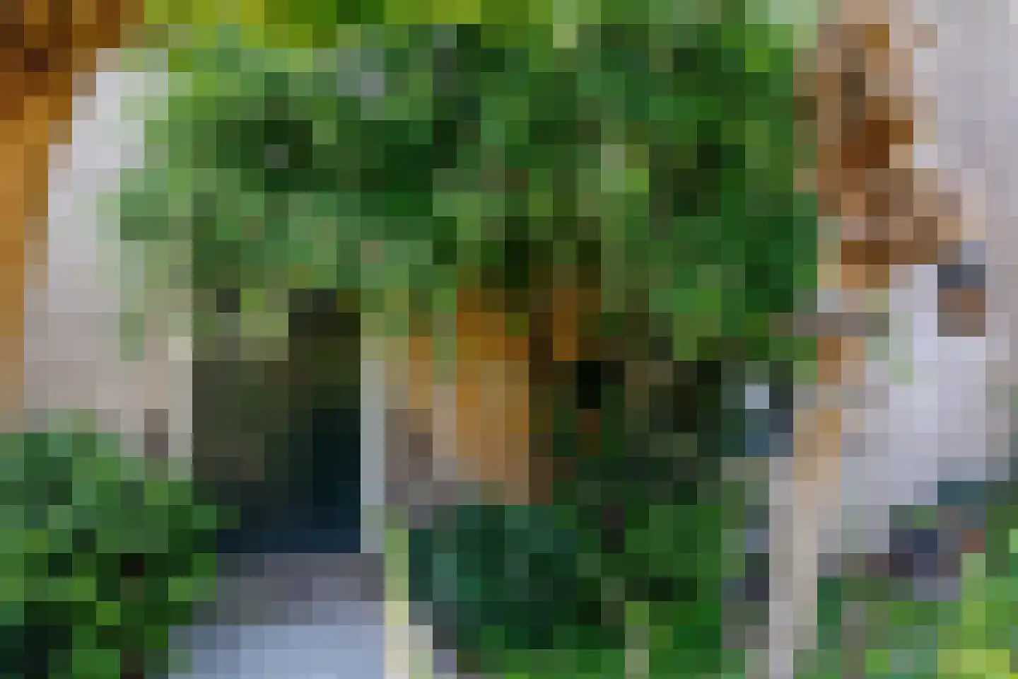 Zelksestraat 2 Horssen thumbnail 5