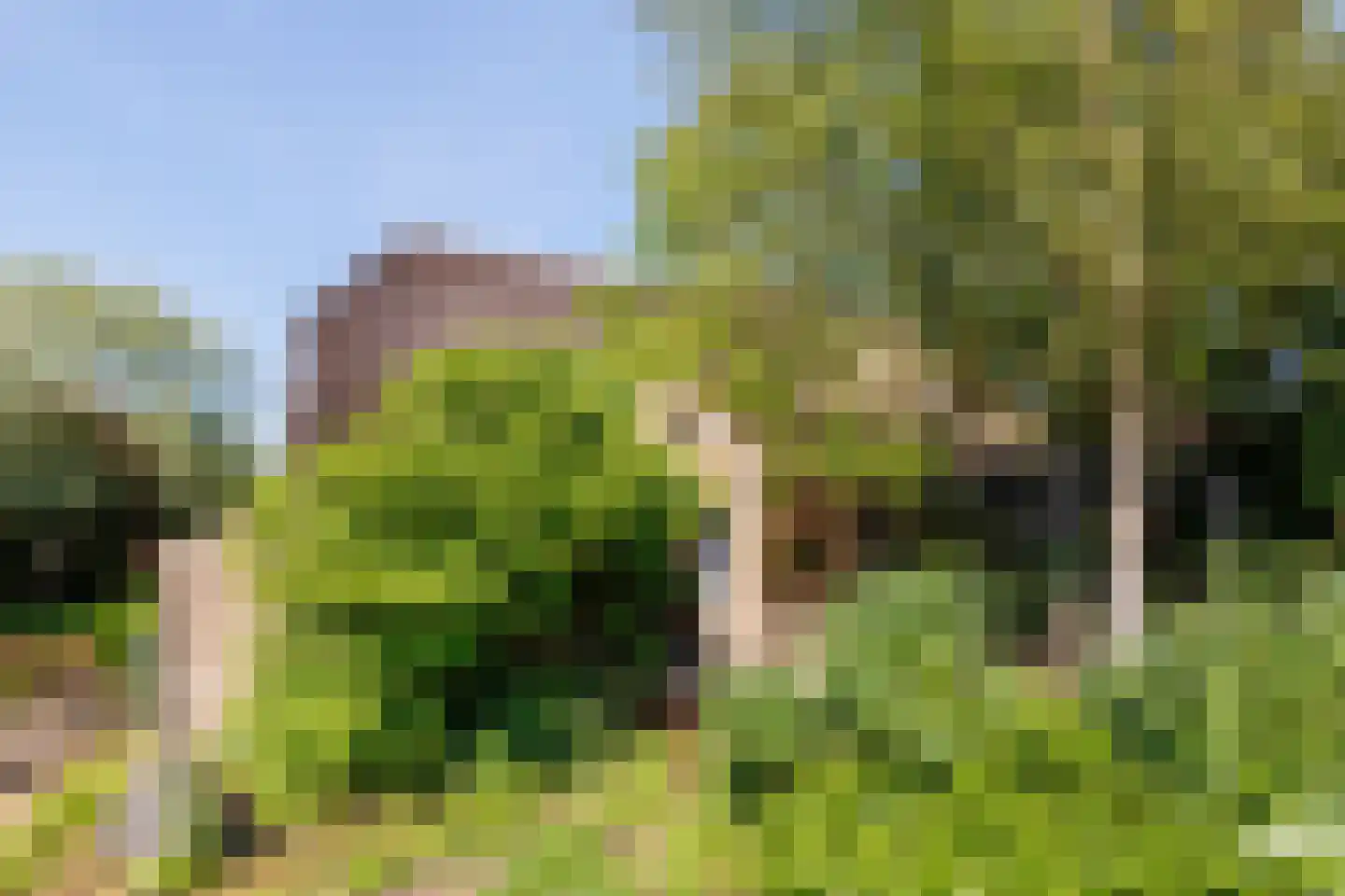 Zelksestraat 2 Horssen thumbnail 50