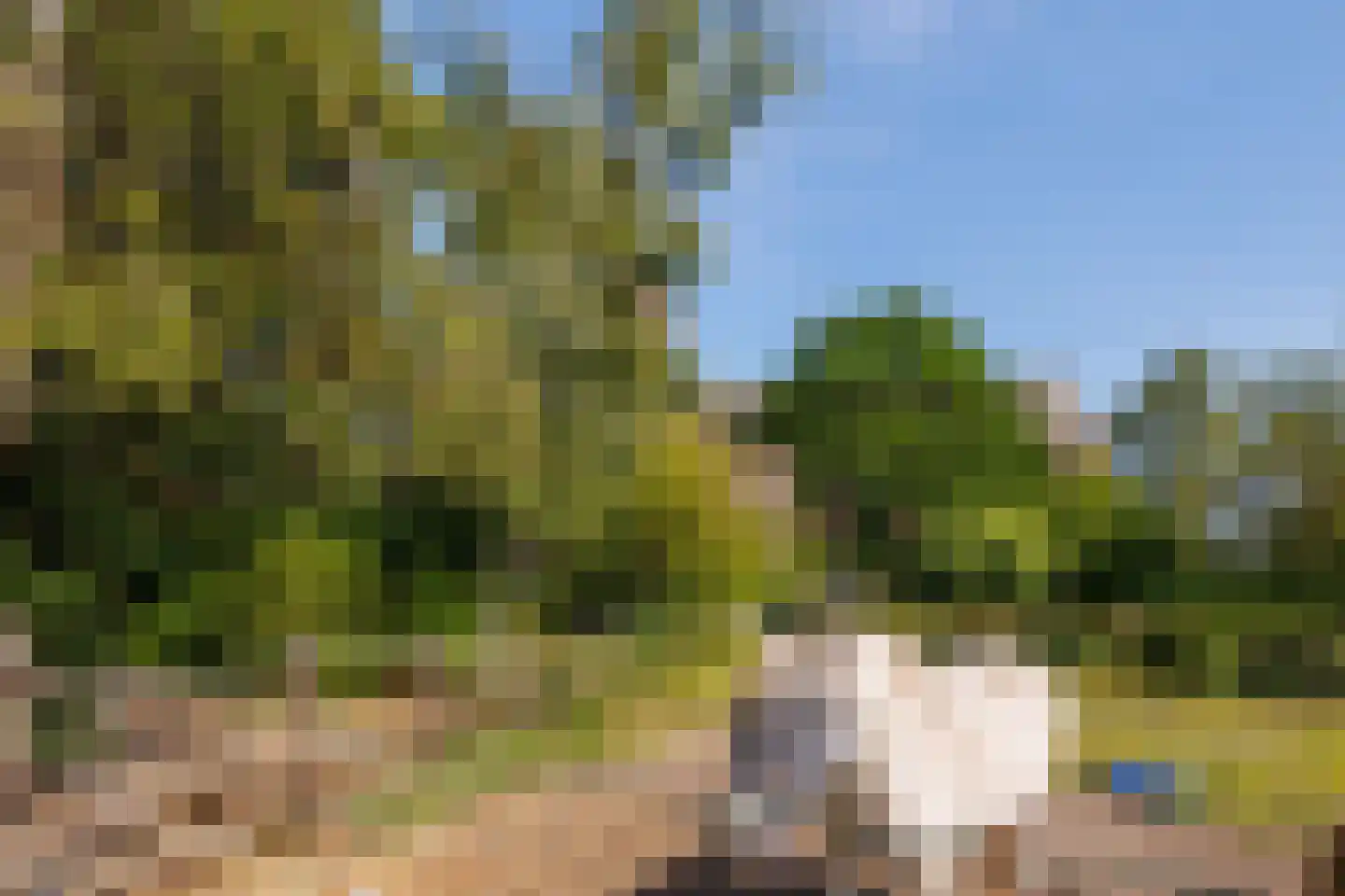 Zelksestraat 2 Horssen thumbnail 51