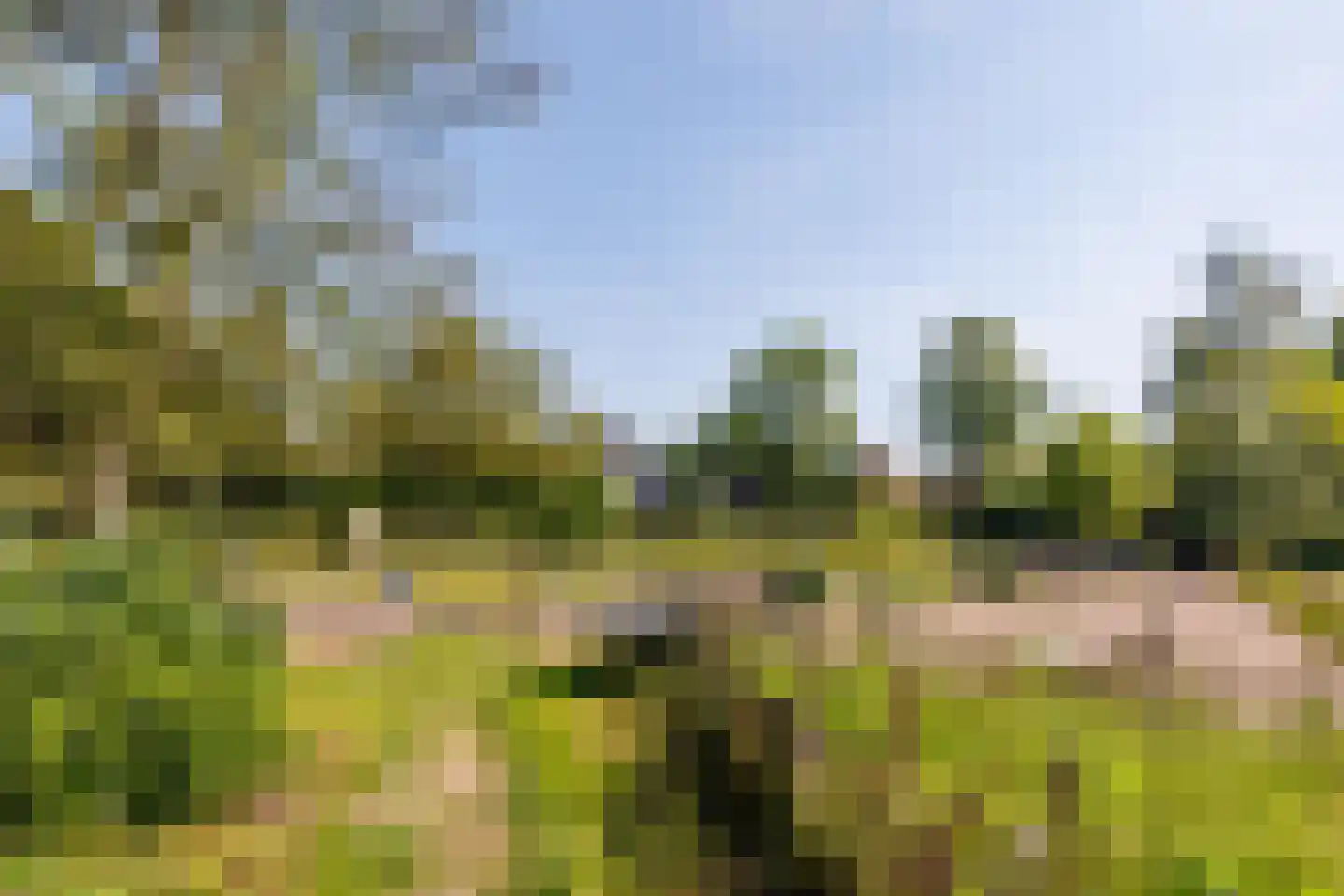Zelksestraat 2 Horssen thumbnail 52
