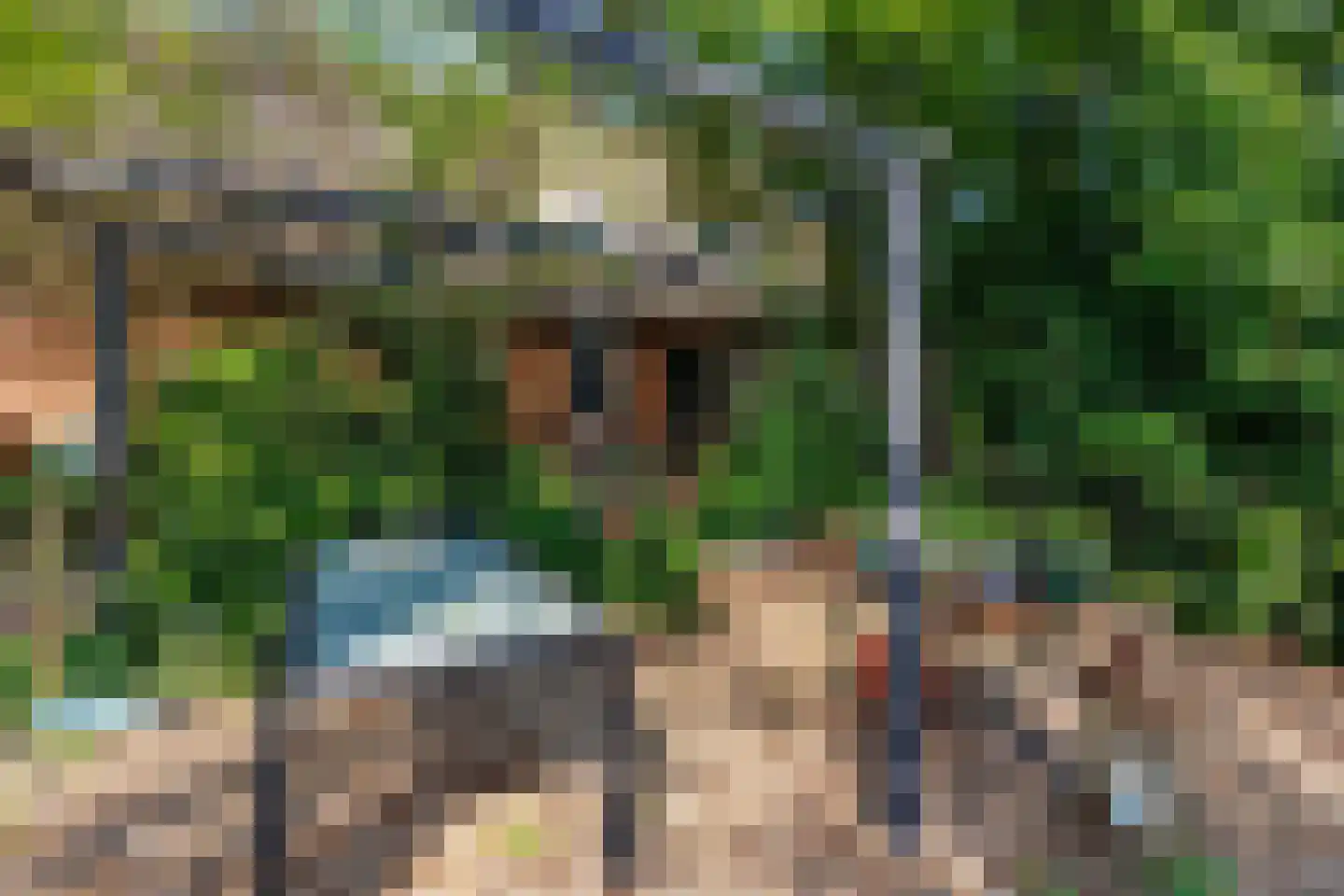 Zelksestraat 2 Horssen thumbnail 53