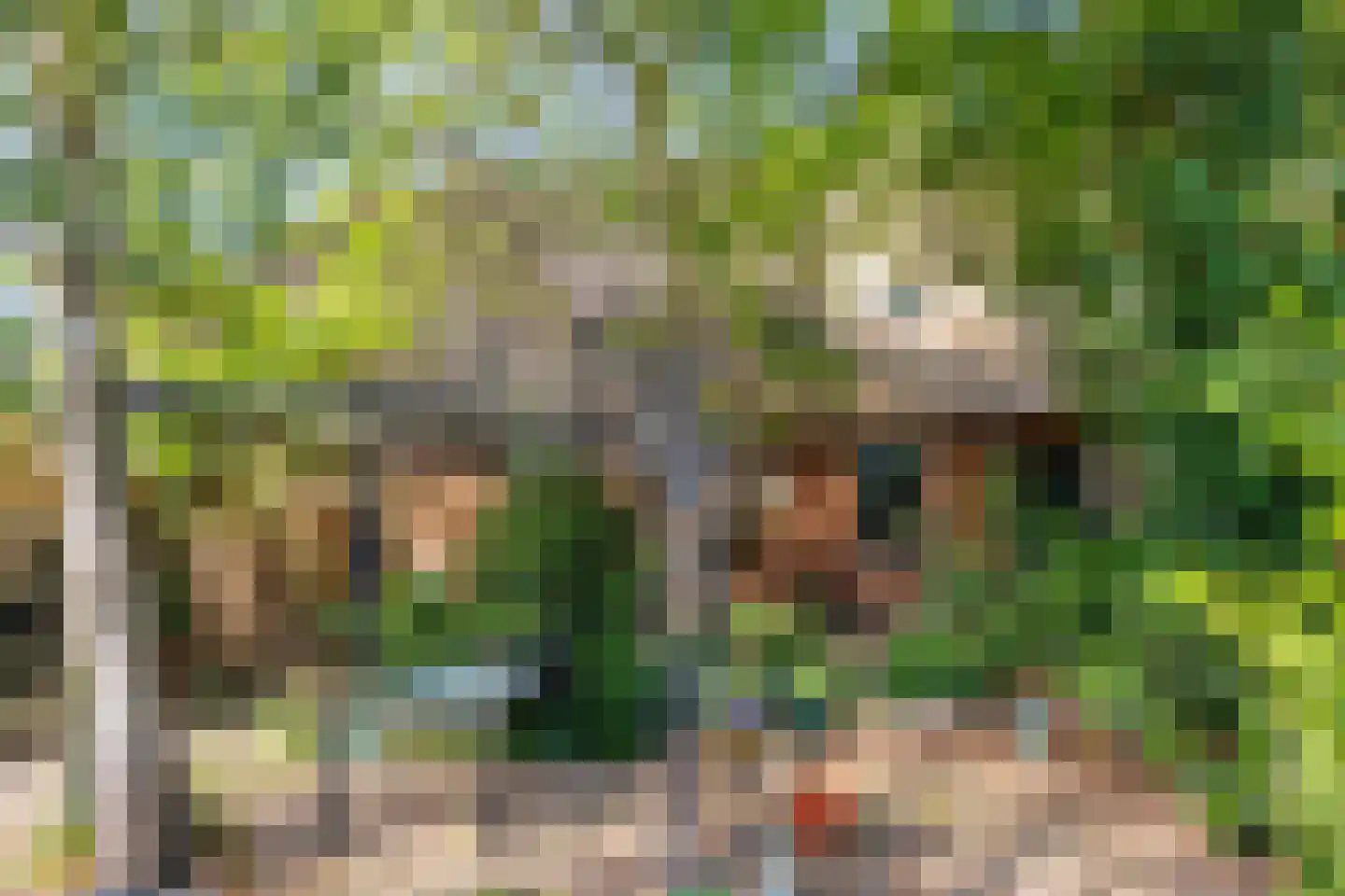 Zelksestraat 2 Horssen thumbnail 54